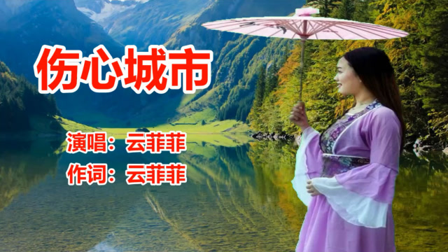 dj版《 伤心城市》 云菲菲