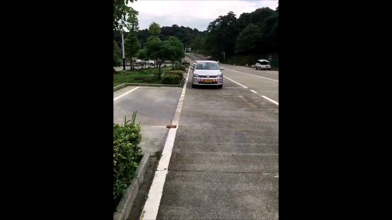 科目二 侧方位停车教程