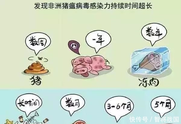 非洲非洲猪瘟疫情现状