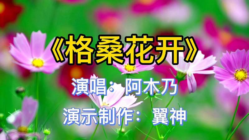 [图]阿木乃一曲《格桑花开》一首藏歌天籁,太好听了