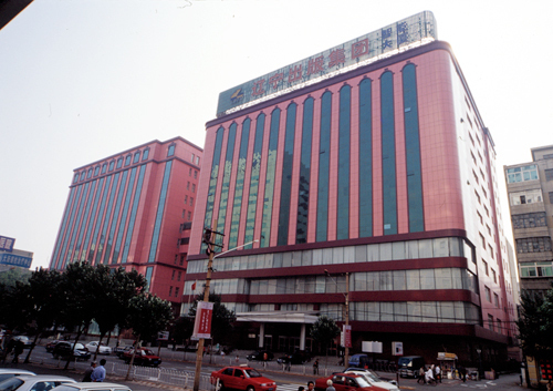 银基集团的集团发展