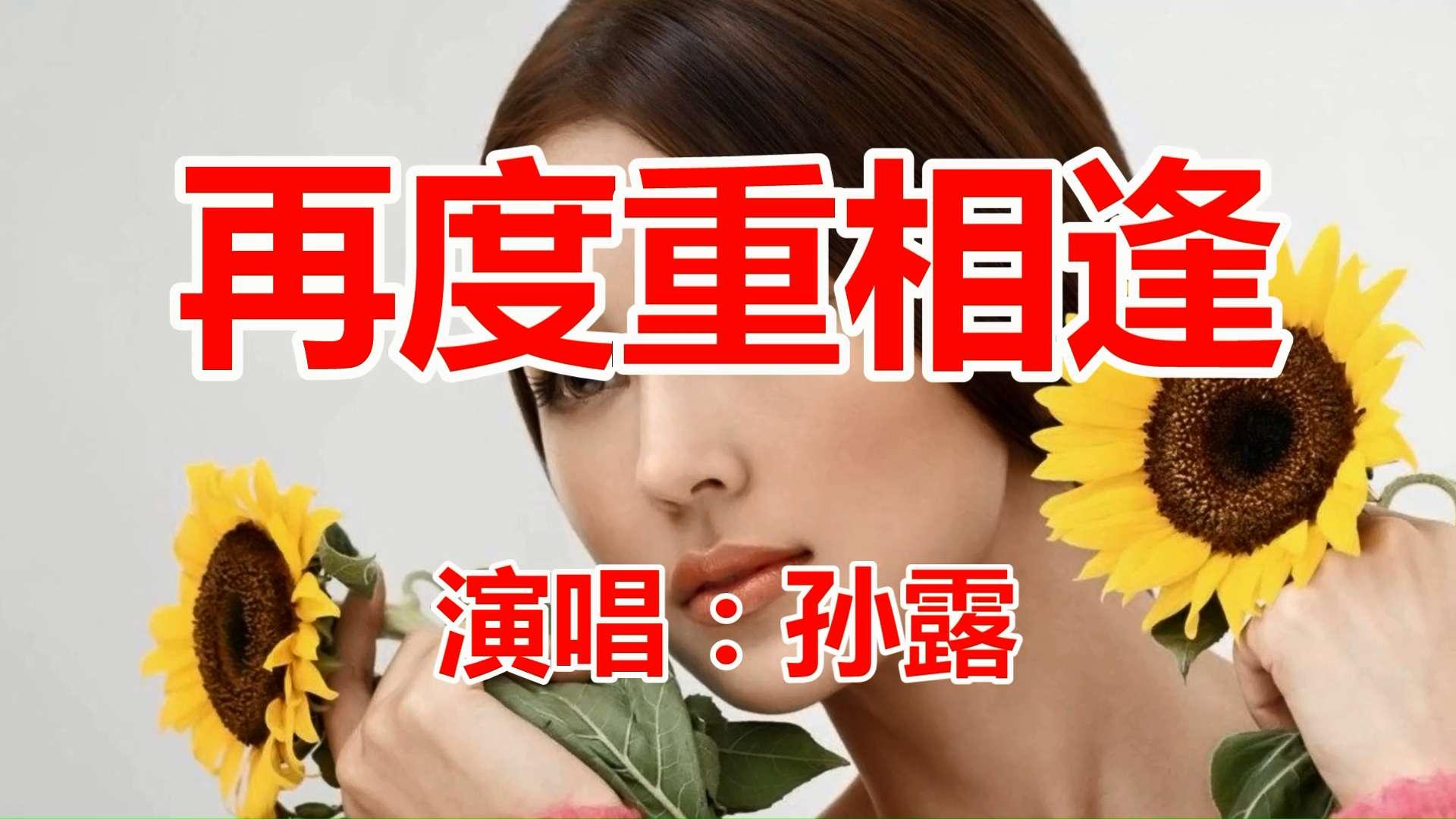 dj舞曲《再度重相逢》孙露