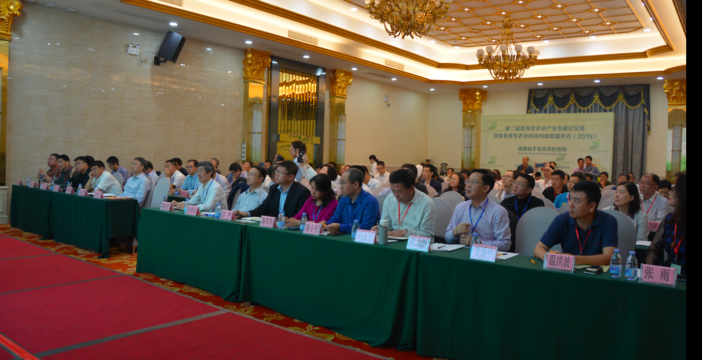 我国的先行产业