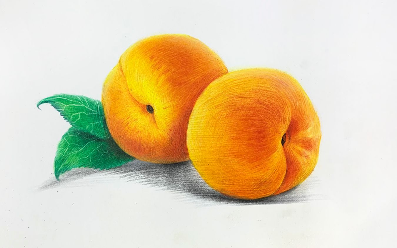  b>彩铅画基础教程 /b> 两个大黄桃示范全过程 教你轻松画彩铅水果