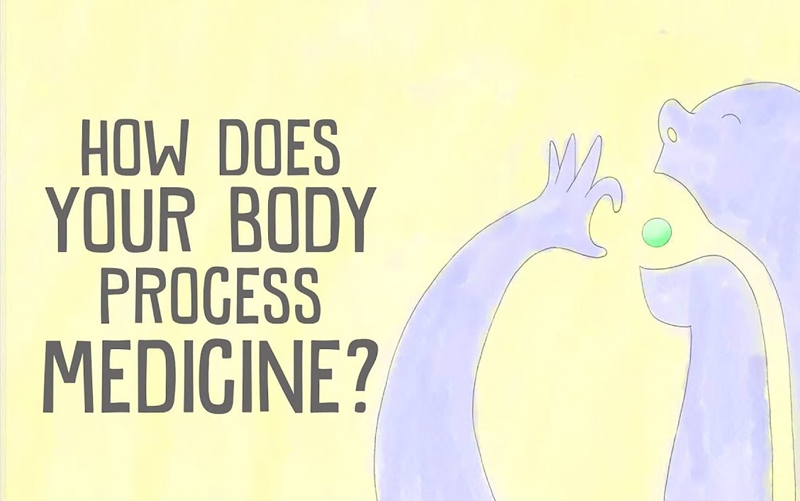 [图]【TED-Ed】身体如何处理药物.How.does.your.body.process.medicine.原创翻译.双语字幕