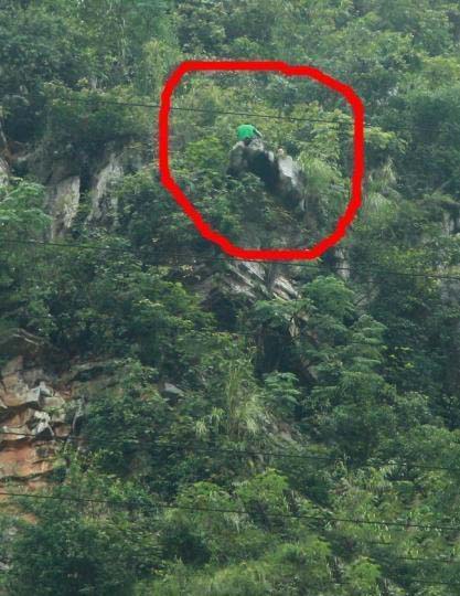 两姐妹相约跳崖_考试成绩不理想浙江姐妹竟相约到江西三清山跳崖自杀!