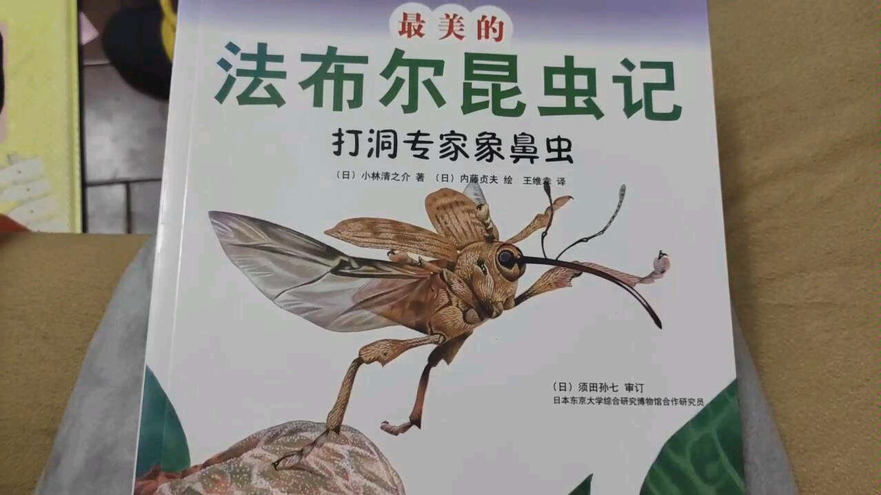 [图]最美的法布尔昆虫记-打洞专家象鼻虫