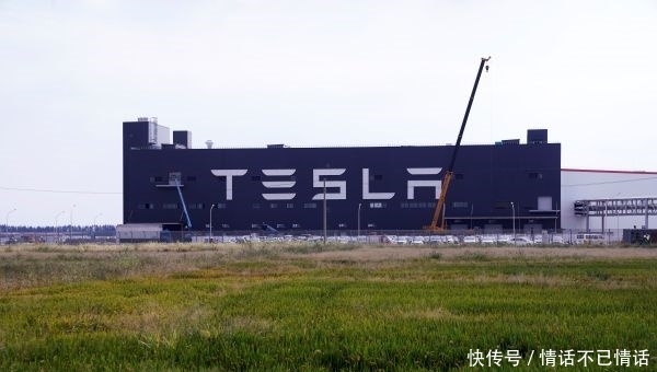 上海生产的特斯拉的汽车