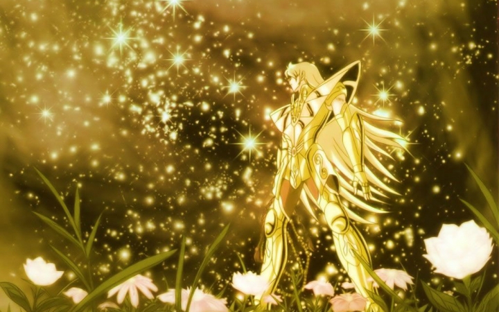 【陶笛】(圣斗士) b>沙罗双树 /b>