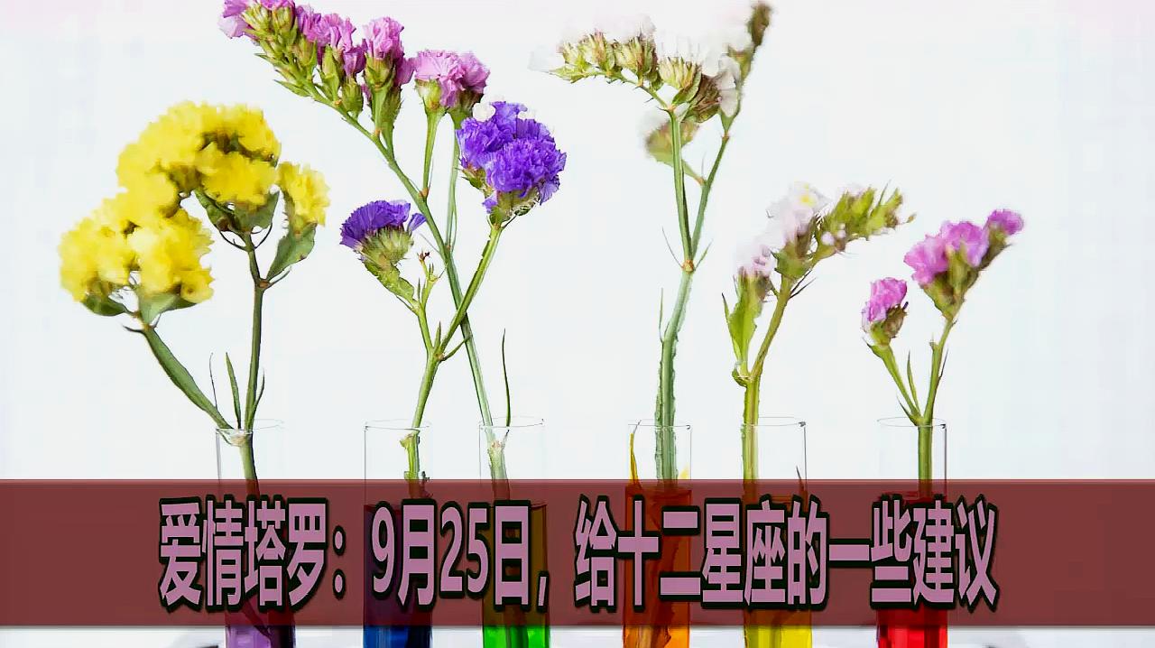 360影视 影视搜索 360影视 影视搜索