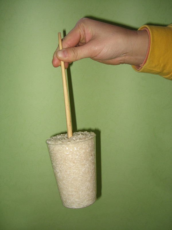 筷子提米的实验图片