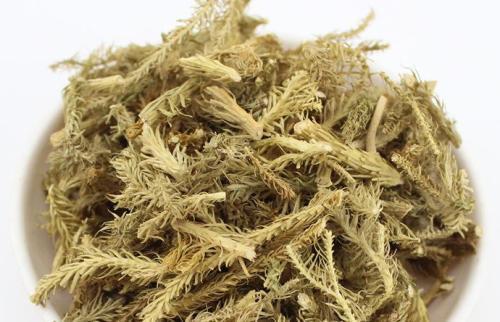 生津草是什么样的?