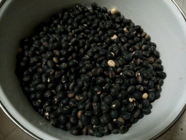 黑豆能做豆腐吗