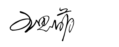 王娜的艺术签名怎么写图片
