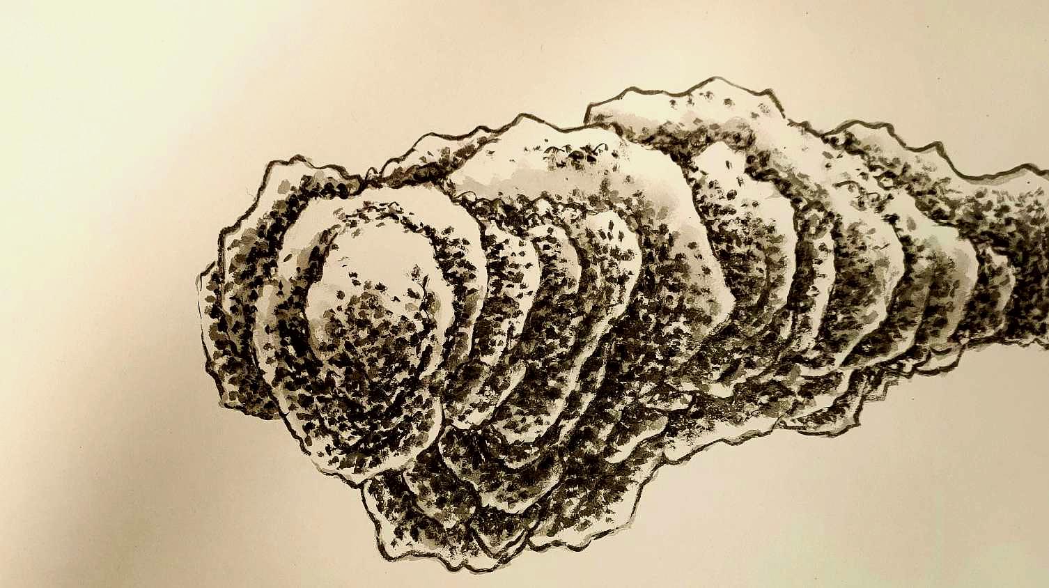 360影视-影视搜索