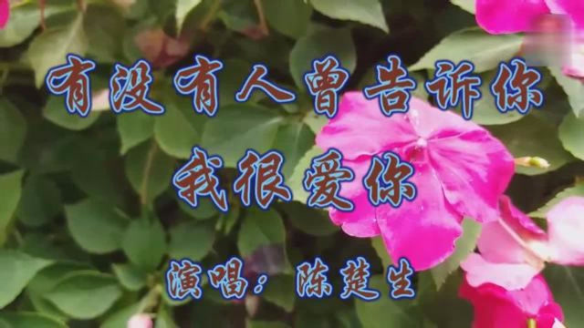 [图]陈楚生一首成名曲《有没有人曾告诉你我很爱你》伤感好听