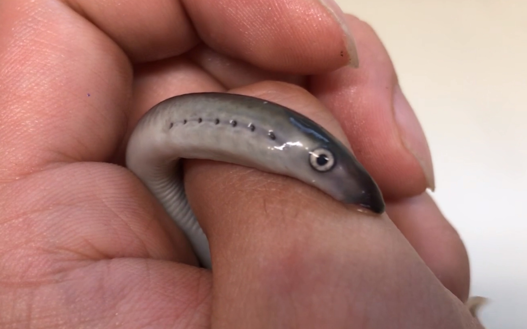 360影视 影视搜索 360影视 影视搜索