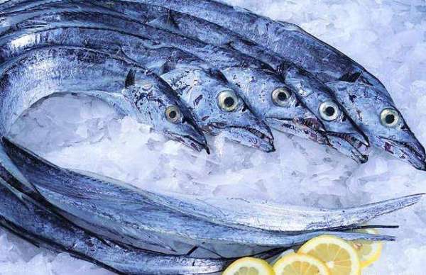 带鱼眼睛的差异,和海水的盐度,水深压力,微生物以及带鱼的年龄都有