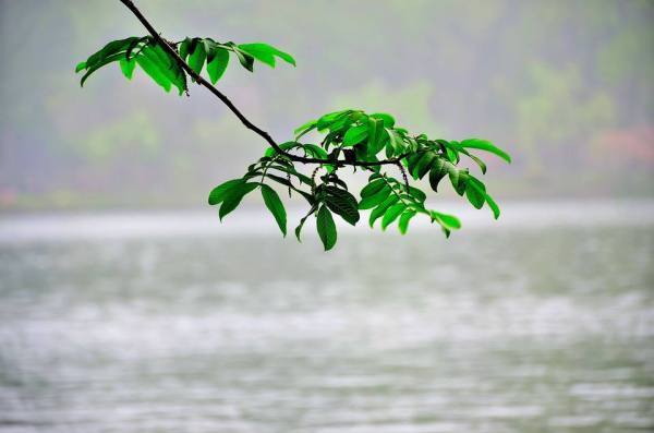 許嵩的 清明雨上 歌詞是什麼意思