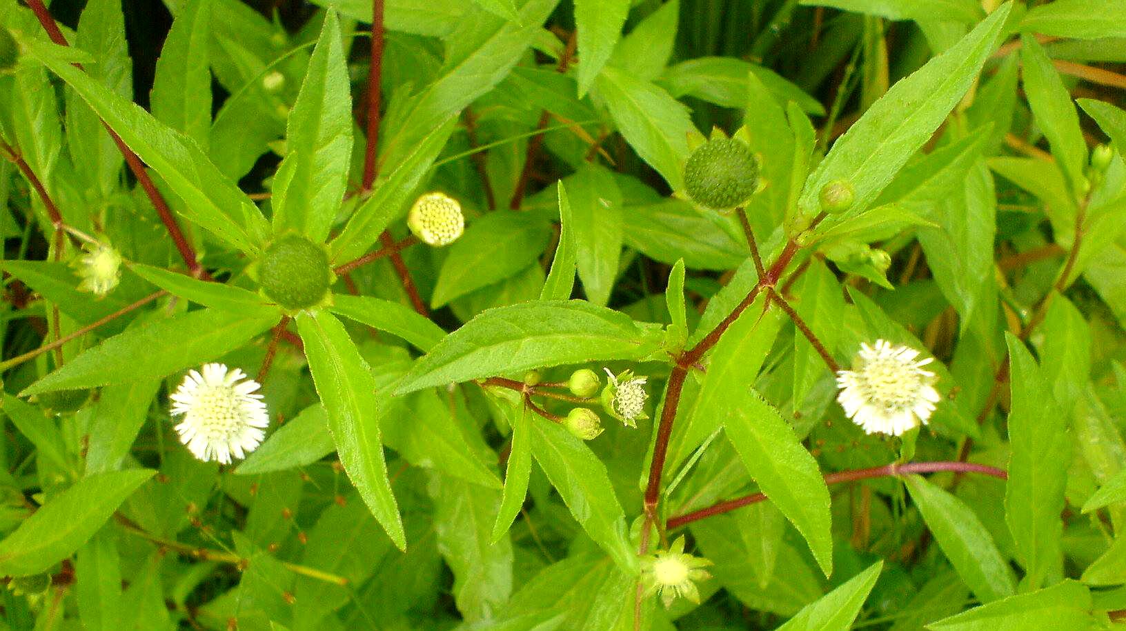 360影视-影视搜索