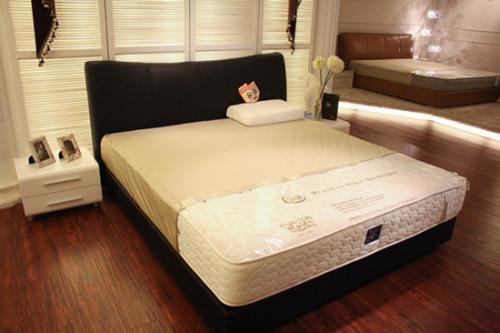 有谁听过舒达床垫这个品牌