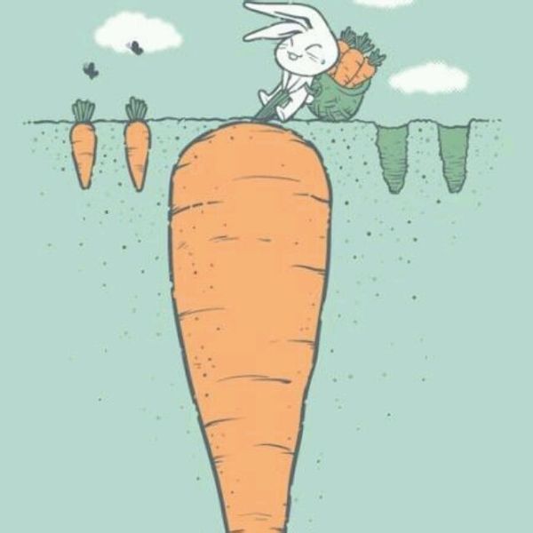 兔子拔萝卜情侣头像图片