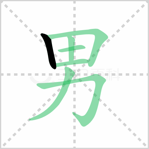 男的解释|读音|部首|组词