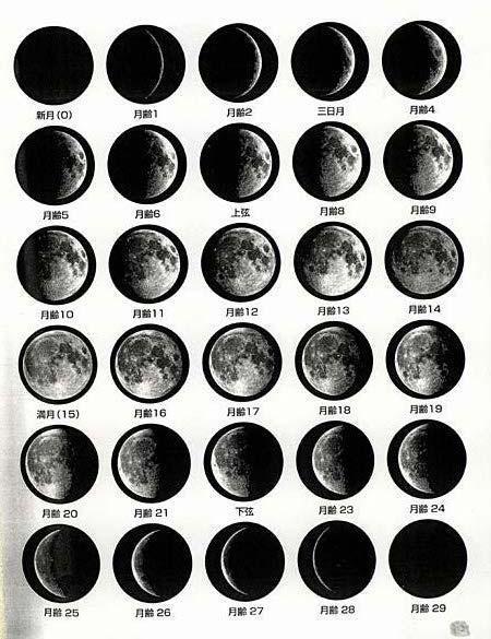 按阴历说,一个月有 27—28天可以看到月亮