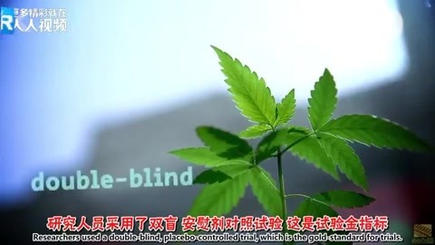 360影视 影视搜索