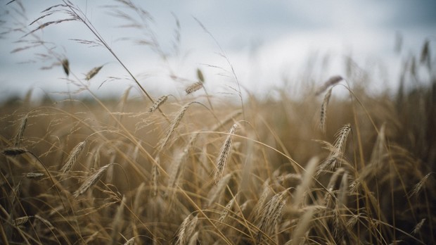 我两天左侧睾丸突然疼痛,想了解下蛋蛋会有点