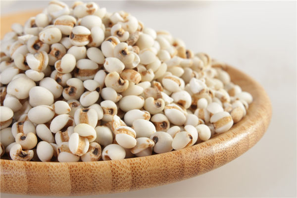 > 图 贝母 图二 薏仁 明显 区别 贝母 般较 薏仁较 适合煮粥 川贝白色