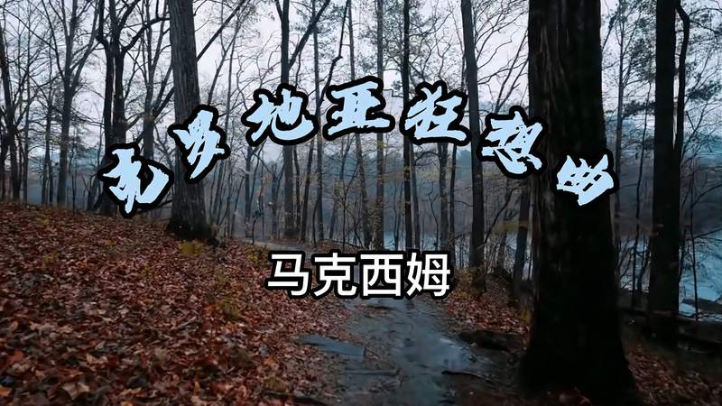 [图]纯音乐推荐-克罗地亚狂想曲(Croatian Rhapsody)-马克西姆