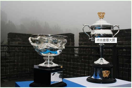 世界网球4大满贯的奖杯是什么样子的