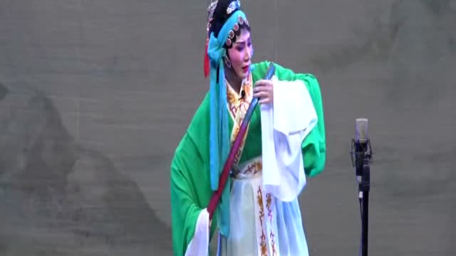 陈立君老师演唱潮剧《金花牧羊》