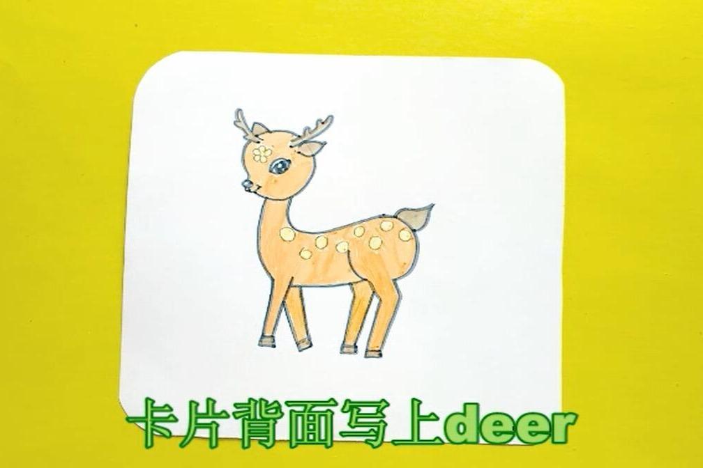 视频:英语萌萌画 deer梅花鹿