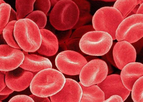 人的正常红细胞有多少?