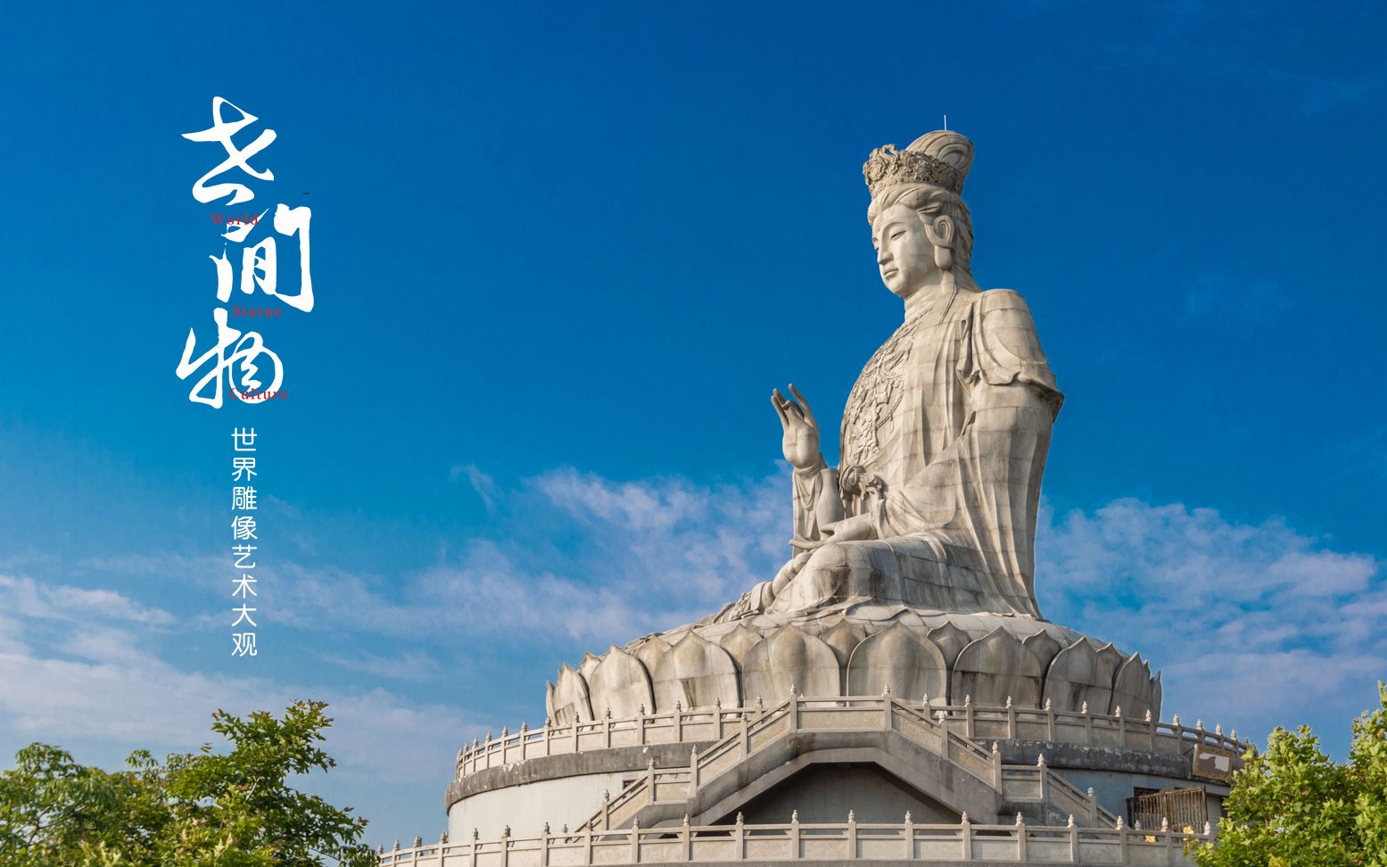 360影视-影视搜索