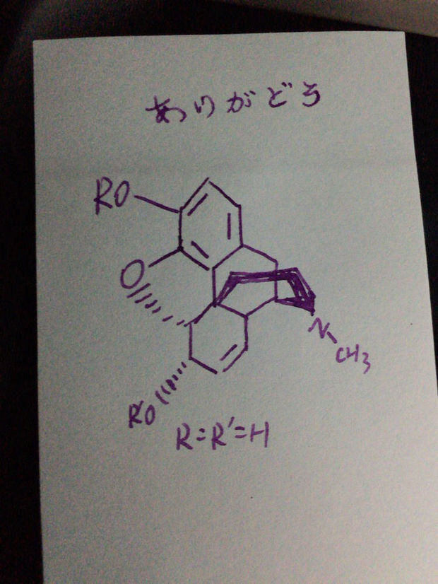 图片中的化学结构式和日文是什么意思,一个女