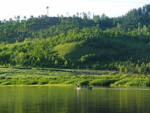 根根长又细,上接天来下接地,线长不能放风筝,线