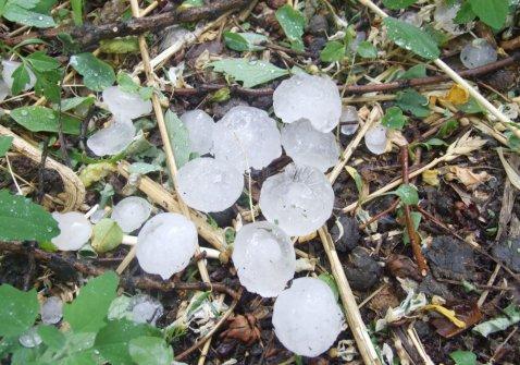 什么季节下冰雹?