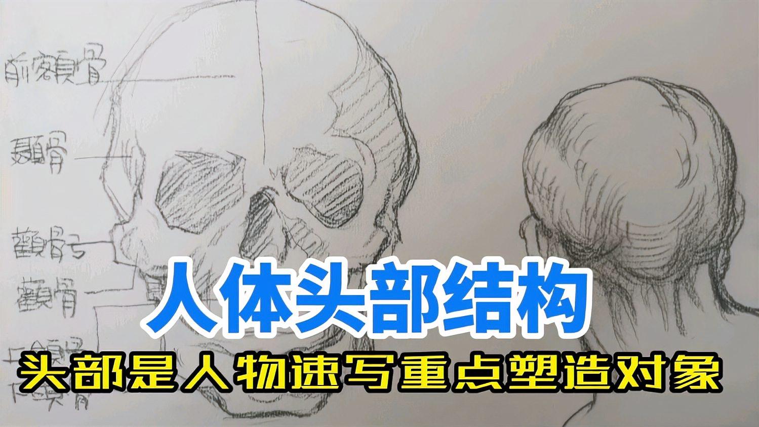 [图]人体头部结构是人像速写素描的基础,学会了它人像就轻松多了