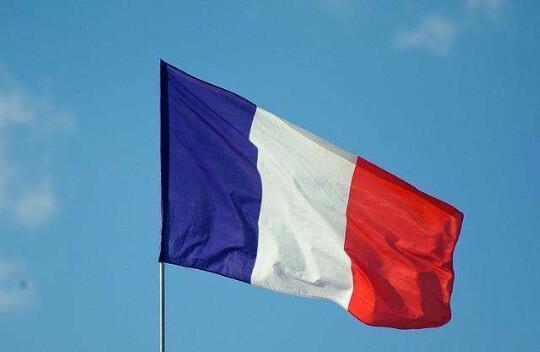 请帮忙发张法国,国旗图,谢谢