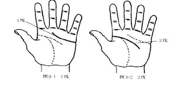 人的手上共有幾條線?各代表什麼?