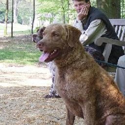 东方不败死后30年 被洋鬼子盗墓 葵花宝典的名