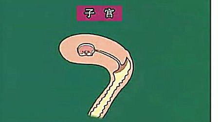 【一虎一席谈】性教育需要科学探索  性知识相伴一生-20110924-凤凰