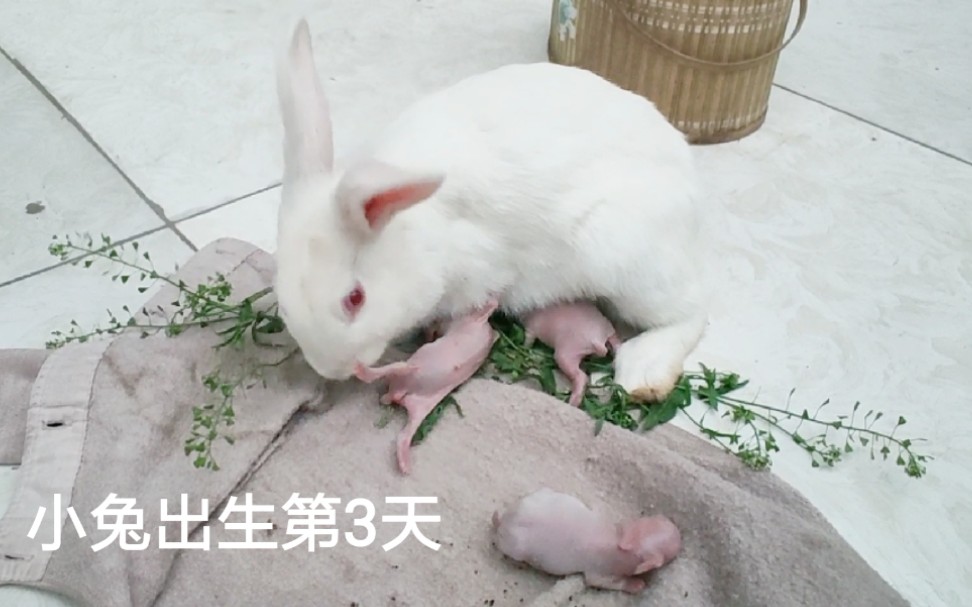 360影视-影视搜索