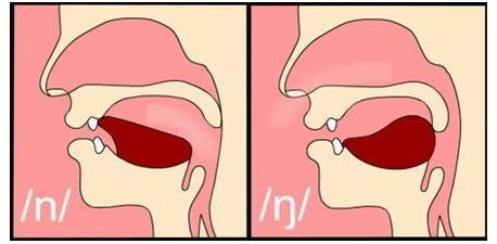 后鼻音的发音技巧图片