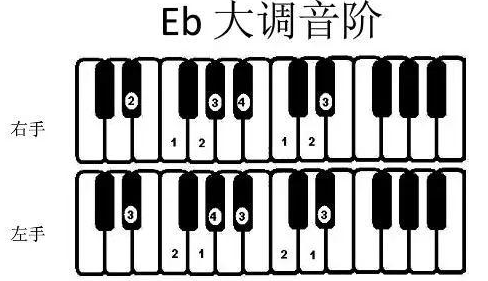 钢琴黑键简谱表示什么?