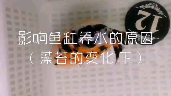 360影视 影视搜索