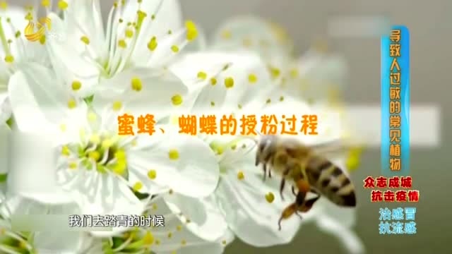 360影视 影视搜索 360影视 影视搜索